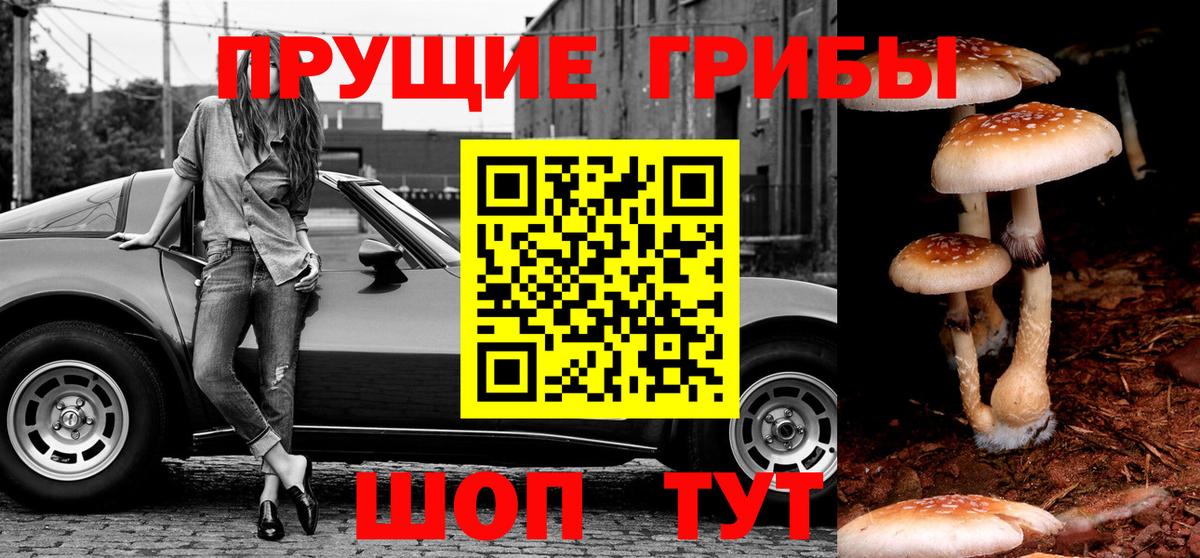 Псилоцибиновые грибы GOLDEN TEACHER Новосибирск